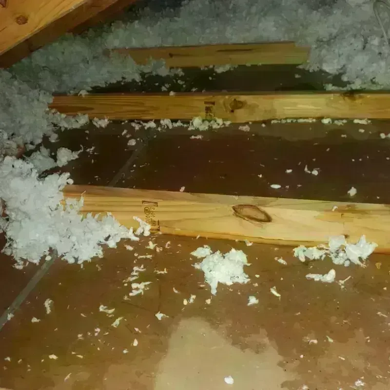 Attic Water Damage in Florence, MS