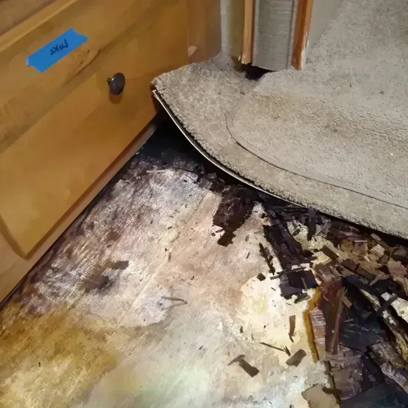 Wood Floor Water Damage in Florence, MS